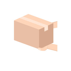 hand holder delivery packaging box boxing day