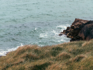 Tough thick grass covers the rocks on the seashore. Coastal rocks.