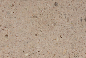 Piece of the poultry and pork pate