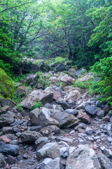 蓼科山登山口コース　八ヶ岳の風景