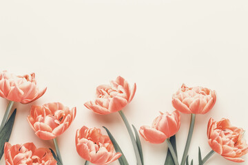Spring flowers, tulips on pastel colors background. Retro vintage style.