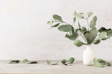 Green eucalyptus leaves in vase. Front view. Place for text, copy space, mockup.