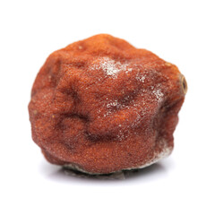 Decayed Orange Isolated   