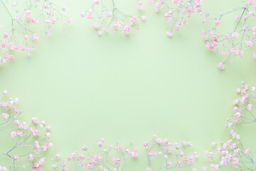 Obraz na płótnie Canvas Beautiful flower background of pink gypsophila flowers. Flat lay, top view. Floral pattern.