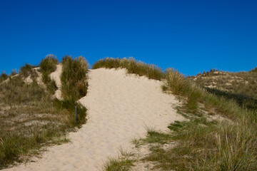 Dune landscape on the island of Amrum