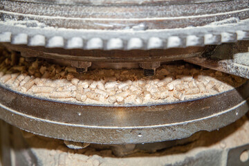pellet production process for heating compressed wood shavings