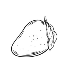 Whole mango outline icon vector illustration. Hand drawn line tropical fresh ripe fruit with peel and leaf, vitamin summer fruity harvest of exotic farm garden and natural raw product of market