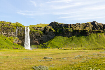 Fototapeta na wymiar the Seljalandsfoss in summer, Iceland