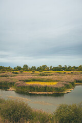 landscape with river