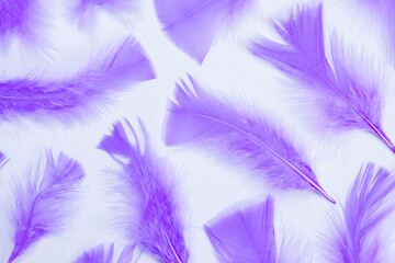 Obraz premium purple feathers on a white background, fashionable, delicate, feminine background. the concept of a party or birthday in purple colors,