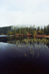 By the smaller Svartdalstjern Lake. Image from a trip to the Svartdalstjerna Forest Reserve of the...
