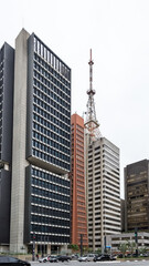 Fototapeta premium São Paulo, Brazil – April 2013 – Architectural detail of Paulista Avenue one of the most important avenues of the city. 
