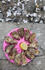 Tray with a dozen fresh sea oysters and yellow lemon  at the fish market