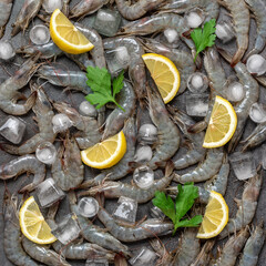 Raw tiger prawns with ice and lemon on a dark grunge background. Top view, flat lay. Fresh shrimp....