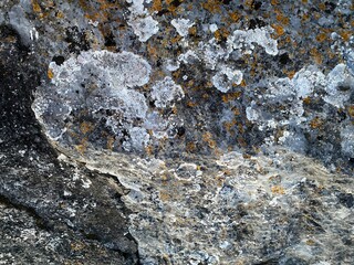 Yellow and white lichen on natural grey stone.