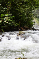 A river in the middle of the leafy vegetation of the Corcovado national park, Costa Rica