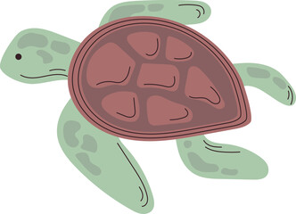 turtle sea animal cartoon art