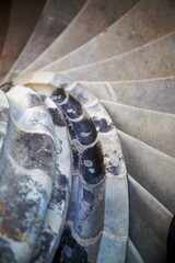 Detailaufnahme Wendeltreppe