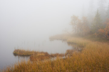 Obraz na płótnie Canvas By the smaller Svartdalstjern Lake a foggy day. Image from a trip to the Svartdalstjerna Forest Reserve of the Totenaasen Hills, Norway, in autumn.