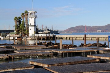 Forbes Island Pier 39, with some sleeping sea lions and the Golden Gate Bridge in the background. San Francisco California CA.