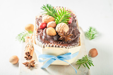 Gingerbread cake with nuts for Christmas with spruce