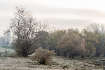 Panoramic view of the National Park. Panoramic view of the National Park in winter covered with snow and ice.