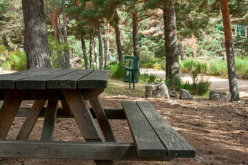 Naklejka premium wooden bench in a forest picnic area