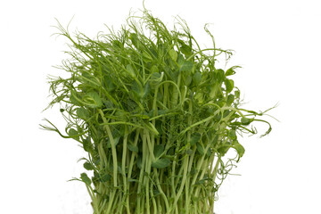 Close-up of peas microgreens with seeds and roots