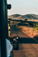 The beautiful scenery of the Pilanesberg national park. On safari in South Africa. 