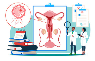 Penetration and sexual intercourse of penis and vagina. Male and female sex organ have sex. Semen and sperm are ejaculated into uterus. Seminar, lecture, healthcare meeting. Vector illustration.