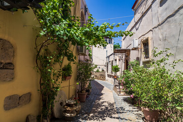 Wrought iron decorated houses on narrow alley in old town with green bushes, Baku, Azerbaijan