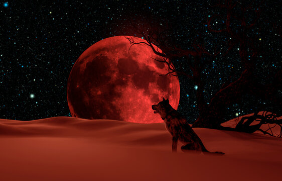 Silhouette of a wolf during the blood moon in the forest in the winter