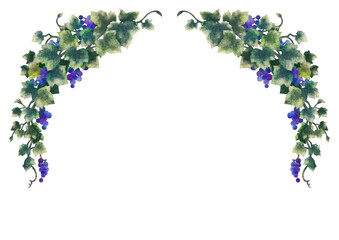 Grapes illustration frame 07-2	