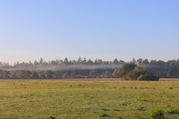 Fototapeta na wymiar Clouds of fog on a sunny morning over the meadows in Siebenbrunn near Augsburg