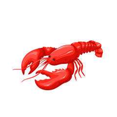 Lobster vector illustration. Cartoon isolated red crawfish, whole underwater crayfish with claws and tail, sea crustacean animal and exotic luxury lobster meal for delicatessen restaurant menu