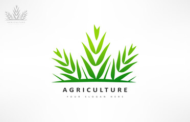 Agriculture logo. Wheat plant vector.