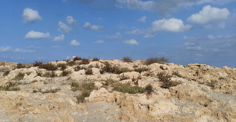 Fototapeta na wymiar Israeli sea beach