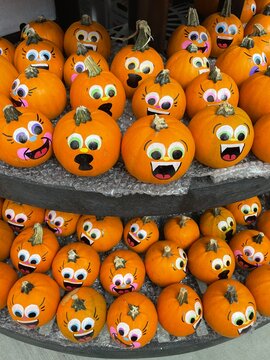 jack o lantern happy face pumpkins