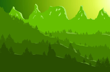 forest in the mountains