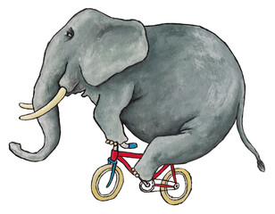 Elephant on a bicycle. Illustration made with acrylic of an elephant riding a bicycle.