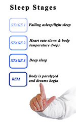 Man Presenting Four Sleep Stages