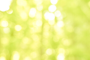 Obraz premium nature bokeh sun light and blur leaf abstract texture background