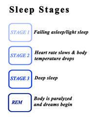Four Sleep Stages