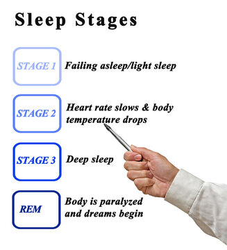 Man Presenting Four Sleep Stages