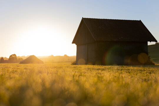 sch&ouml;ner Sonnenaufgang im b&auml;uerlichen Allg&auml;u