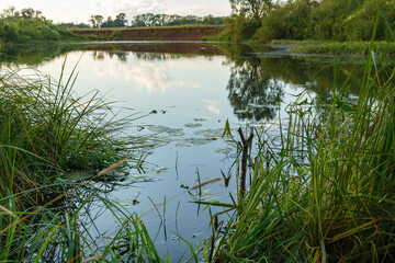 Fishing place on a small and quiet river. River and fisherman's place in summer.
