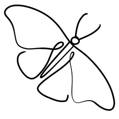 Butterfly line art