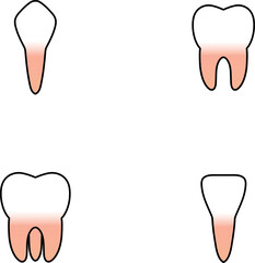 Tooth Vector illustration. tooth clip art or image.