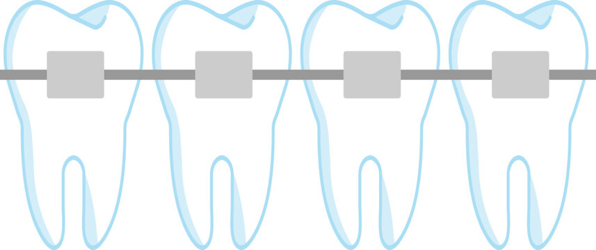 Tooth Vector illustration. tooth clip art or image.