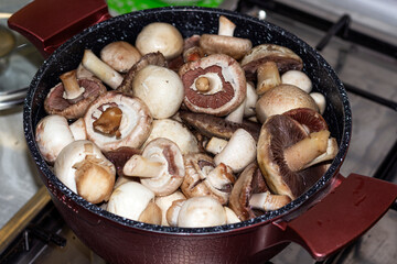 cooking mushrooms, champignons in a saucepan, cooking champignons